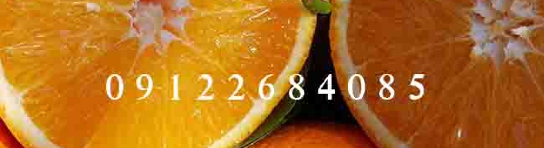 نهال پرتقال (نهالستان جلیلی)