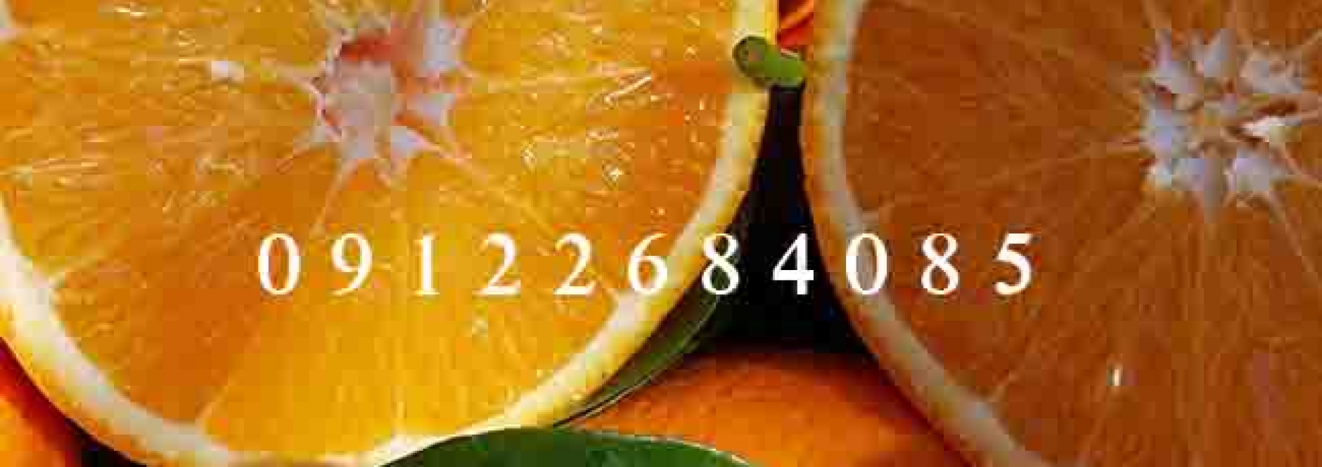 نهال پرتقال (نهالستان جلیلی)
