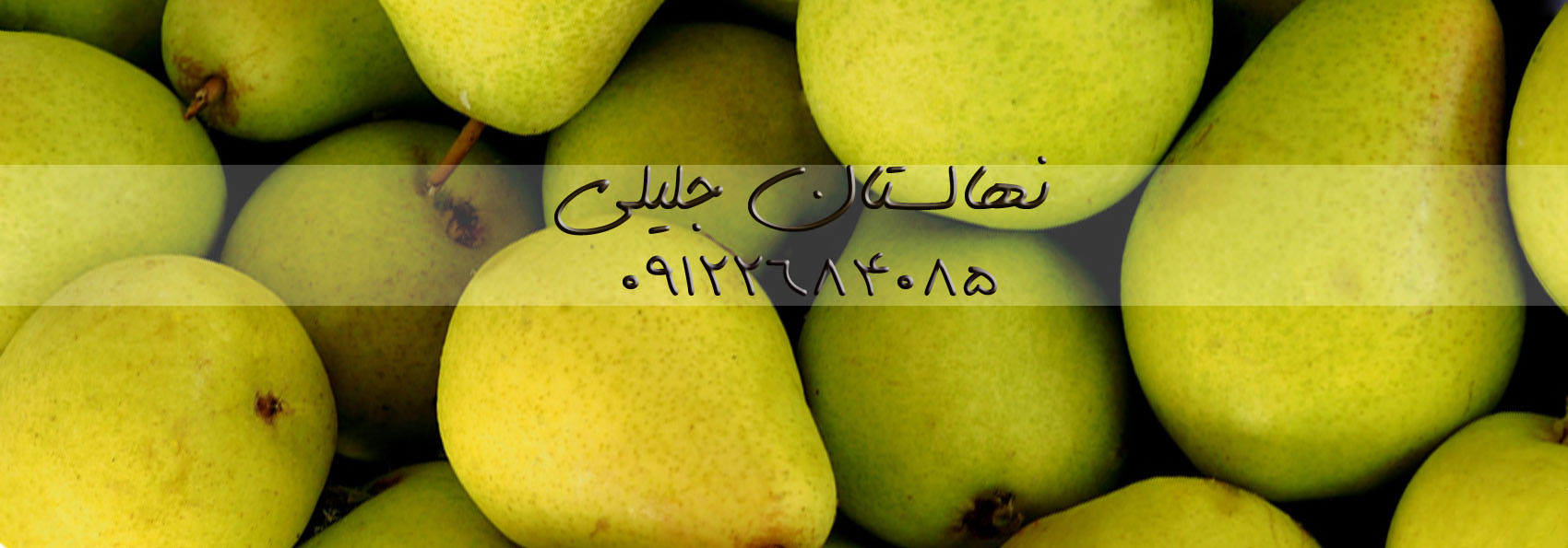 خرید نهال گلابی
